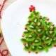 Staying Healthy During the Christmas Holidays