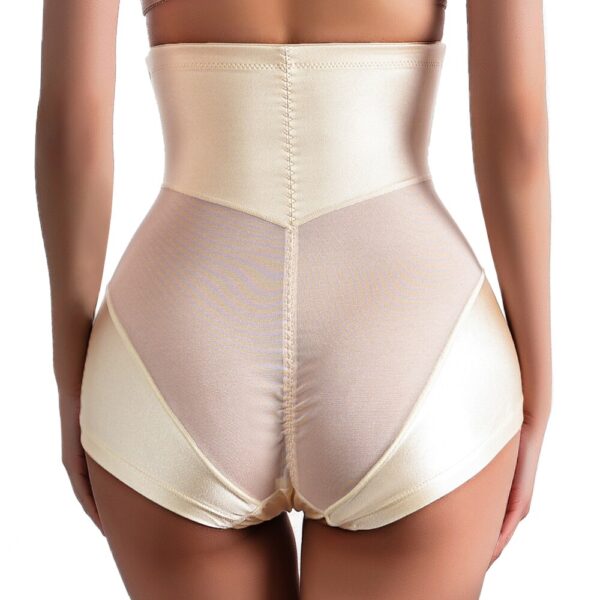 High Waist Trainer Panty
