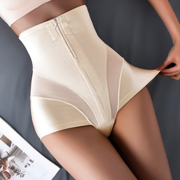 High Waist Trainer Panty