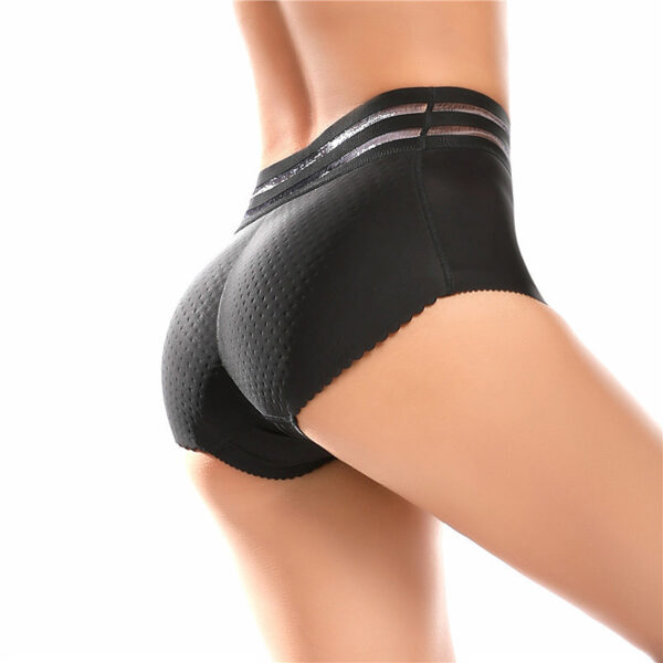 H42d87b0b48f34146afb0801eb153b30d5 Lifter Lingerie