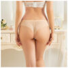 S9bf75c3d49034bc2a19ed53a4040730fu Mesh Thong Panties Set